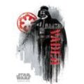 PYRAMID Poster Rogue One: A Star Wars Story Darth Vader Grunge 61 x 91