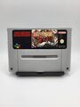 Secret Of Evermore Super Nintendo SNES Modul *Blitzversand*