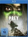 Prey BD