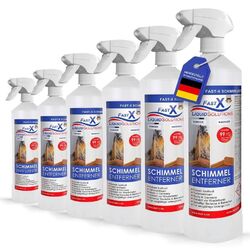 Schimmelentferner – Aktivchlor Schimmelspray zum Schimmel entfernen  6 x 1000 ml