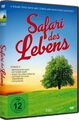 Safari des Lebens