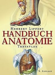 Handbuch Anatomie. Textatlas von Lippert, Herbert, Lippe... | Buch | Zustand gut*** So macht sparen Spaß! Bis zu -70% ggü. Neupreis ***