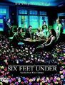 Six Feet Under - Gestorben wird immer, Die komplette drit... | DVD | Zustand gut