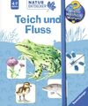 Teich und Fluss (Wieso? Weshalb? Warum? Natur-Entdecker) Noa, Sandra: