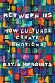 Between Us: How Cultures Create Emotions Mesquita, Batja Buch