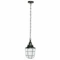 Brilliant Pendel Hänge Leuchte Lampe STORM Metall schwarz Glas 20,5 cm