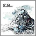 Foot of the Mountain (Deluxe Edt.) von A-Ha | CD | Zustand gut