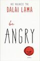 Be Angry (Taschenbuch) Dalai Lama's Be Inspired (US IMPORT)