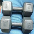 Hanteln 2er-Set Kurzhantel Gymnastikhantel Vinyl Fitness , schwarz ,Crane