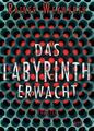 Das Labyrinth erwacht (1) von Rainer Wekwerth (2015, Taschenbuch)