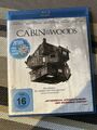 The Cabin in the Woods [Blu-ray] von Goddard, Drew | DVD | Zustand sehr gut