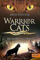 Warrior Cats - Special Adventure. Brombeersterns ... | Buch | Zustand akzeptabel