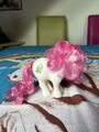 My Little Pony Mein kleines Pony G1 Birthflower May Geburtstagspony Mail Order