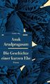 Die Geschichte einer kurzen Ehe | Roman | Anuk Arudpragasam | Taschenbuch | 224 