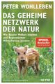 Das geheime Netzwerk der Natur | Wie Bäume Wolken machen und Regenwürmer Wildsch