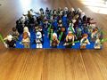 Lego Star Wars Minifiguren Sammlung zu verkaufen