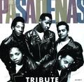 The Pasadenas - Tribute 7in 1988 (VG/VG) .