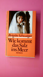 154847 Brigitte Schwaiger WIE KOMMT DAS SALZ INS MEER Roman HC