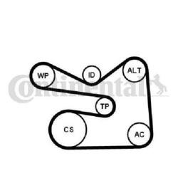 Original CONTINENTAL CTAM Keilrippenriemensatz 6PK1733K3 für Audi Seat Skoda VW