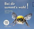 Bei Dir summts wohl von Oftring, Bärbel | Buch | Zustand sehr gut