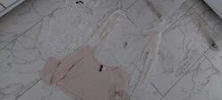 1x TALLY WEIJL 2x H&M Konvolut Gr.34/XS/S Blusen Shirts Spitze hübsch 