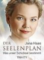 Der Seelenplan: Was unser Schicksal bestimmt von Ja... | Buch | Zustand sehr gut