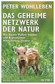 Das geheime Netzwerk der Natur: Wie Bäume Wolken ma... | Buch | Zustand sehr gut