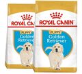 ROYAL CANIN Golden Retriever Puppy 2x12kg Trockenfutter für Welpen