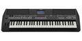 (Kostenloser Versand) Yamaha PSR-SX600 61-Tasten Digital Keyboard gebraucht