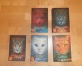 WARRIOR CATS  STAFFEL 1 BAND 2-6