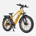 ENGWE 26 Zoll E-Mountainbike 250W 16Ah Elektrofahrrad Pedelec e Citybike Fatbike