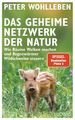 Das geheime Netzwerk der Natur ~ Peter Wohlleben ~  9783453280960