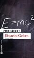 Einsteins Gehirn: Kriminalroman (Kriminalromane im GMEINER-Verlag) Kriminalroman