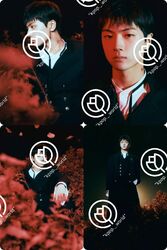 ENHYPEN 'Dark Blood'(New Ver) Fanmade Photocard Set kpop [54Pc's]