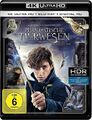 Phantastische Tierwesen und wo sie zu finden sind [inkl. Blu-ray]