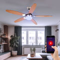 Ventilatorleuchte Deckenventilator Lampe Vor-Rücklauf Smart LED Google Alexa RGB