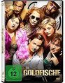 Die Goldfische von Alireza Golafshan | DVD | Zustand sehr gut