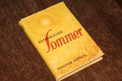 Joachim Kupsch - Gefährlicher Sommer