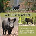 Wildschweine | Eine Reise in die verborgene Welt des Waldes | Peter Koch | Buch