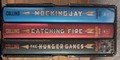 The Hunger Games Trilogie Box Set Hardcover Bücher Suzanne Collins Scholastic