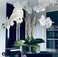 Weiße künstliche Orchidee Blumenarrangement, saftig, Moos, Weihnachten, Zuhause, Geschenk