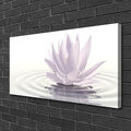 Leinwand-Bilder 100x50 Wandbild Canvas Kunstdruck Blume Wasser Kunst