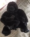 Plüsch Gorilla Mama + Baby Affe Silberrücken Schwarz Stofftier