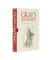 Grays Anatomy, Henry Gray