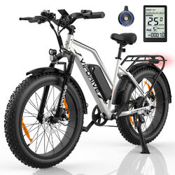 Aldult E-Bike 250W 48V Mountainbike Elektrofahrrad HAILONG-13AH 25KM/H Fatbike