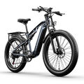 1000W Elektrofahrrad 26 Zoll Ebike Mountainbike Fatbike E-Fahrrad 42km/h Pedelec