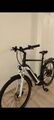 Trekking E-Bike Pegasus Premio EVO 10 Lite, 50 cm, 28 Zoll, 625 Wh