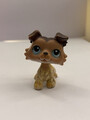 LPS #58 Sage Collie Authentic 