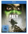 Prey BD, Amber Midthunder