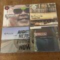 Fat Boy Slim Singles 